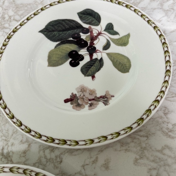 4 Queens Royal Horticultural Society Collection Salad Plates bone china England - Picture 12 of 14